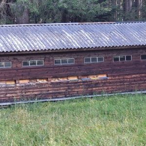 Mangfalltaler Waldgold 500 gr.